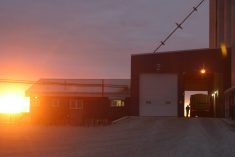 Alberta sunrise as farmers deliver early morning samples to the Agricore United highthroughput elevator near Indus.