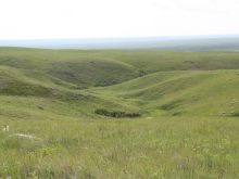 Looking into a lush green valley on a slightly overcast day.