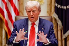 U.S. President Donald Trump gestures as he speaks during lunch with Argentina’s President Javier Milei (not pictured) in the Cabinet Room at the White House in Washington, D.C., U.S., October 14, 2025. Photo: REUTERS/Jonathan Ernst