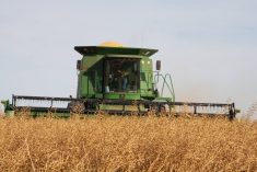 A thick crop of yellow mustard is harvested by a green combine near Pense, Saskatchewan.