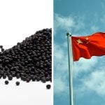Two images - one of canola seed on the left and one of the flag of China on the right.