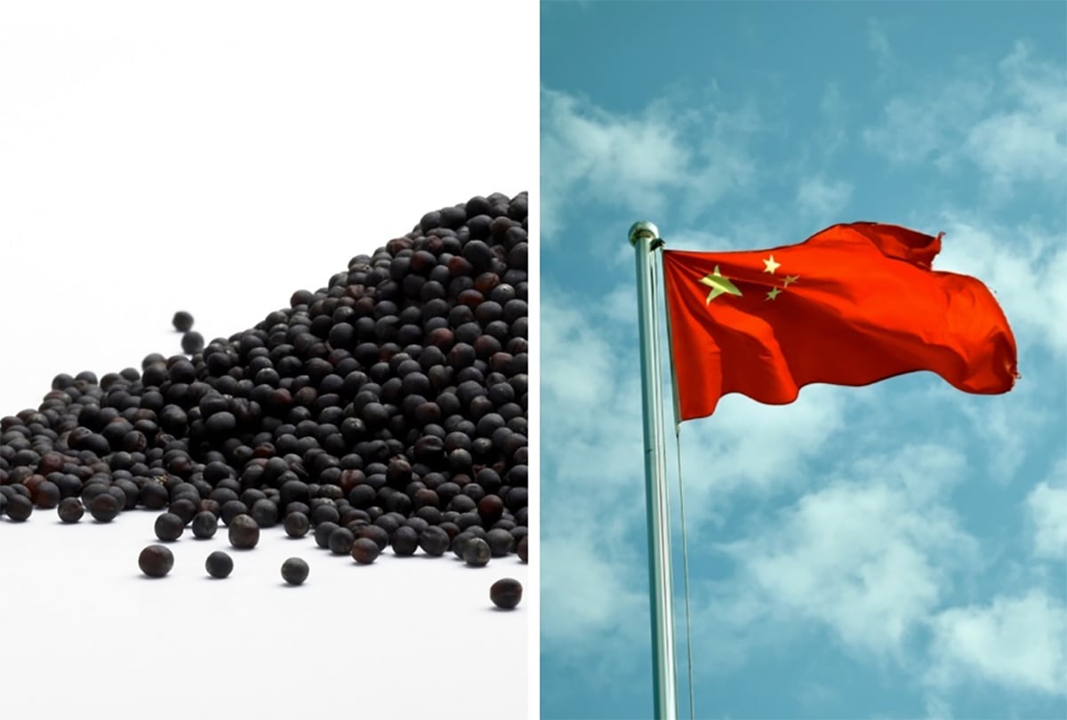Two images - one of canola seed on the left and one of the flag of China on the right.