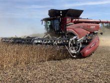 The New Agco AF11 combine at work on a field of soybeans.
