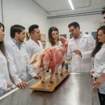 A group of veterinary medicine students in white lab coats stand around a stainless steel exam table with an anatomically correct model of a small pig on it showing the animal's musculature.