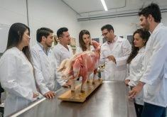 A group of veterinary medicine students in white lab coats stand around a stainless steel exam table with an anatomically correct model of a small pig on it showing the animal's musculature.