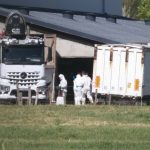 Three weeks after the first cases of lumpy skin disease, more than 500 cows were slaughtered in contaminated areas of the country, on July 25, 2025, in Saint Ferreol, France. Photo by Daniel Giry/ABACAPRESS.COM