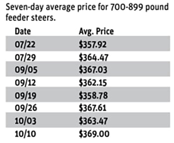 A simple chart showing the "Seven-day average price for 700-899 pound feeder steers" from July 22 to October 10.