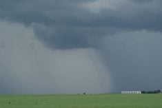 Dark storm clouds are overhead, and it's obviously pouring in the distance with a lush green field in between.