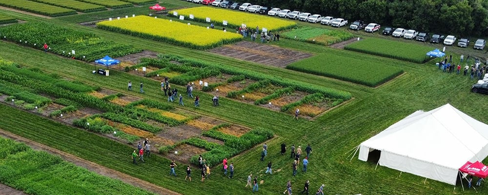 Growers get an in-depth look at the latest canola hybrids