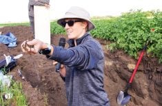 A woman standing in a pit about four feet deep dug in a field wearing a hat, sunglasses and holding a microphone offers a handful of soil to an unseen person for them to examine.