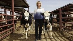 University of California, Davis researcher Alison Van Eenennaam poses with cattle in a cattle pen in this 2017 photo.