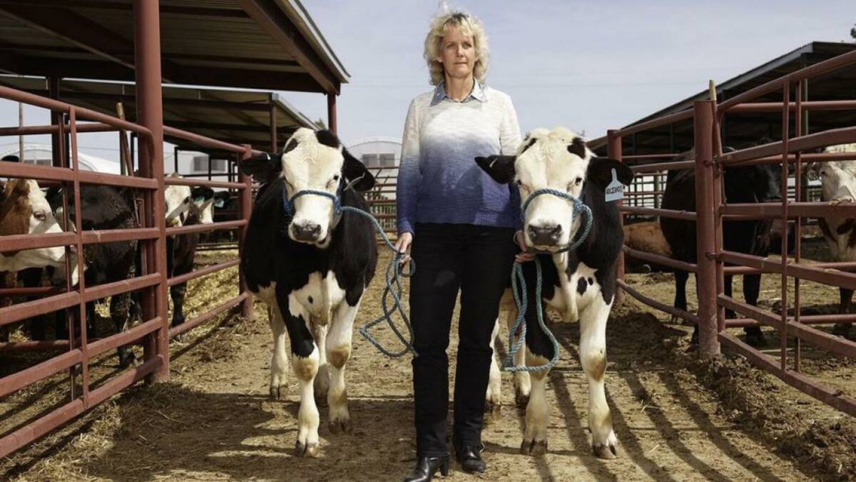 University of California, Davis researcher Alison Van Eenennaam poses with cattle in a cattle pen in this 2017 photo.
