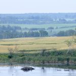 Intergenerational rollover rules can help succession plans