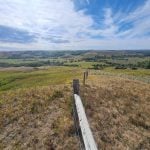 Nature Conservancy of Canada buys more property in southwestern Saskatchewan
