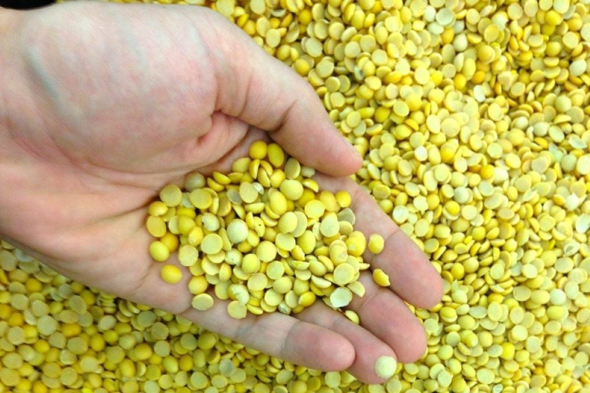 Canola futures mixed; wheat makes gains