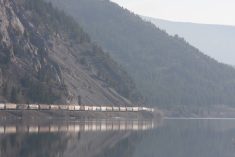 A train carrying prairie grain rounds a mountain along Crowsnest Lake in southwestern Alberta.