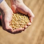 U.S. government investigates high input costs