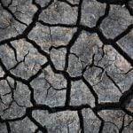 Prairies have variable soil moisture conditions