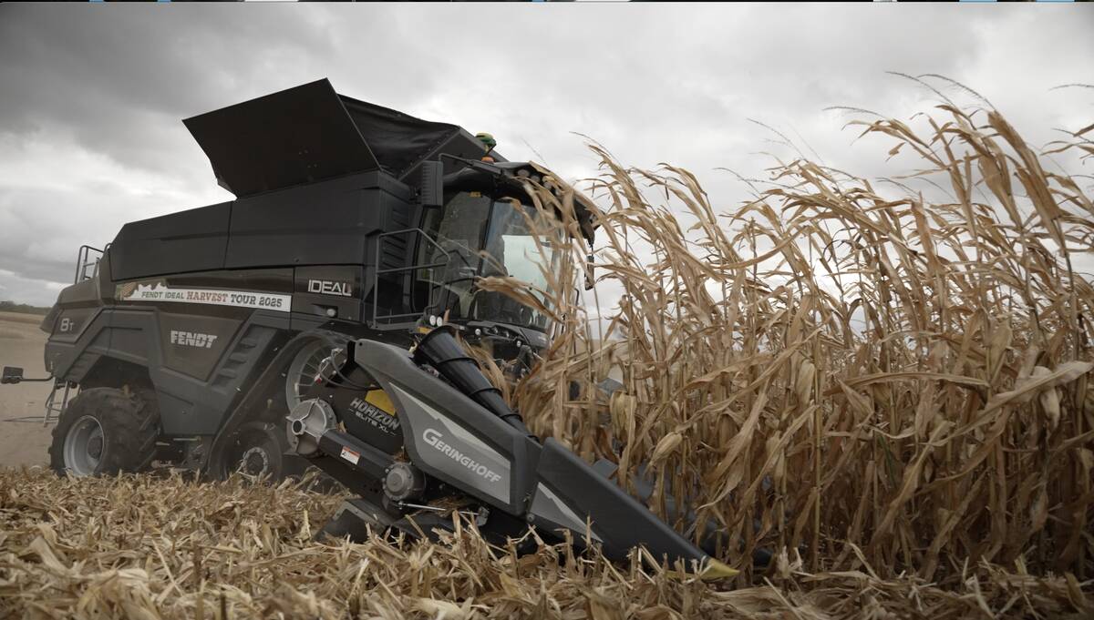 A Fendt Ideal combine harvests a corn crop passing from left to right very near to the camera.