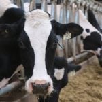 The Organization for Economic Co-operation and Development lauds Canada’s low farm subsidies, criticizes supply management