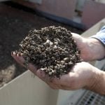 Phosphate prices to remain high