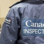 An unidentifiable person wearing a navy blue jacket that has "Canada Inspection" written on the back of it.