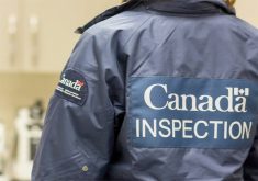 An unidentifiable person wearing a navy blue jacket that has "Canada Inspection" written on the back of it.