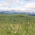 Selenium not deal breaker in coal mining: expert