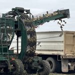 Alberta farm features decades of beets