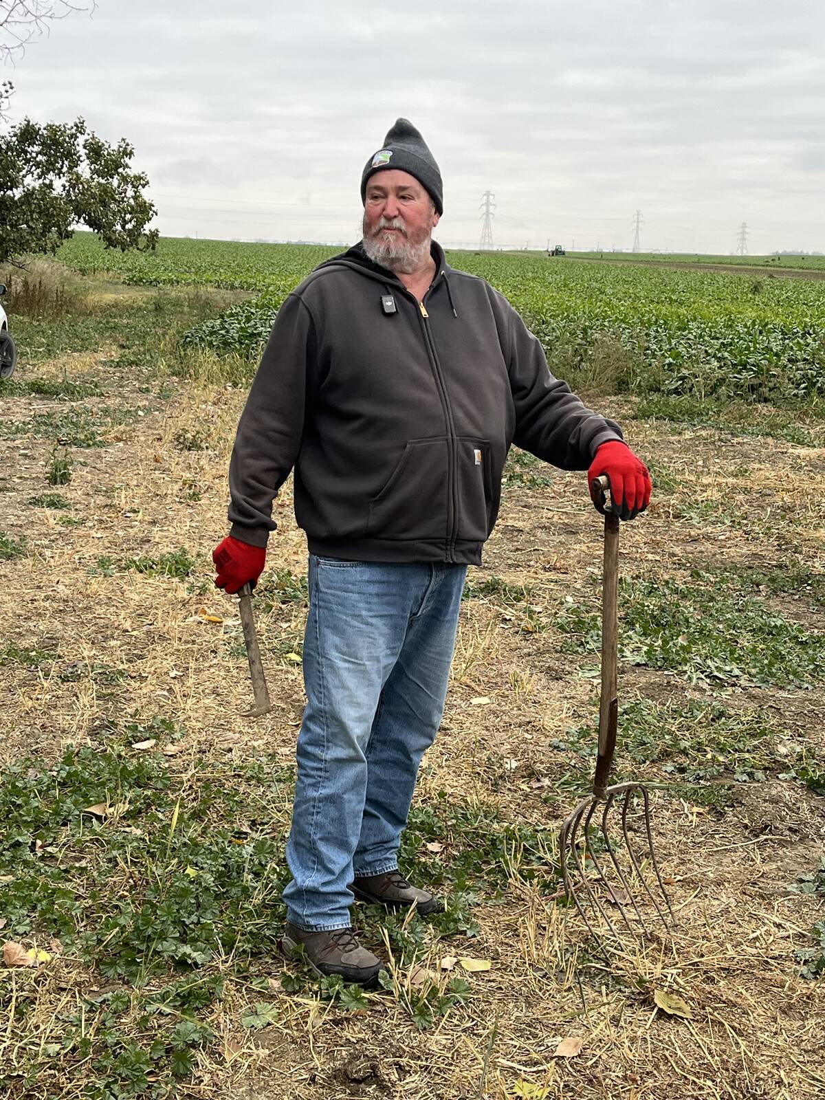 Gary Tokariuk stands near a sugar beet field on his farm near Coaldale, Alberta, leaning on a pitchfork with his left hand and holding a heavy cutting blade in his right.