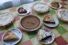 A variety of pies, some whole, some pieces on plates, sits on a checkered tablecloth.