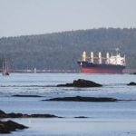 Farm groups ask feds for export sales reporting