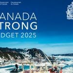 Budget seen as fairly solid, but worrying cracks appear