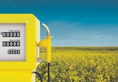 A photo-illustration of a yellow gas pump with a blooming canola field in the background.