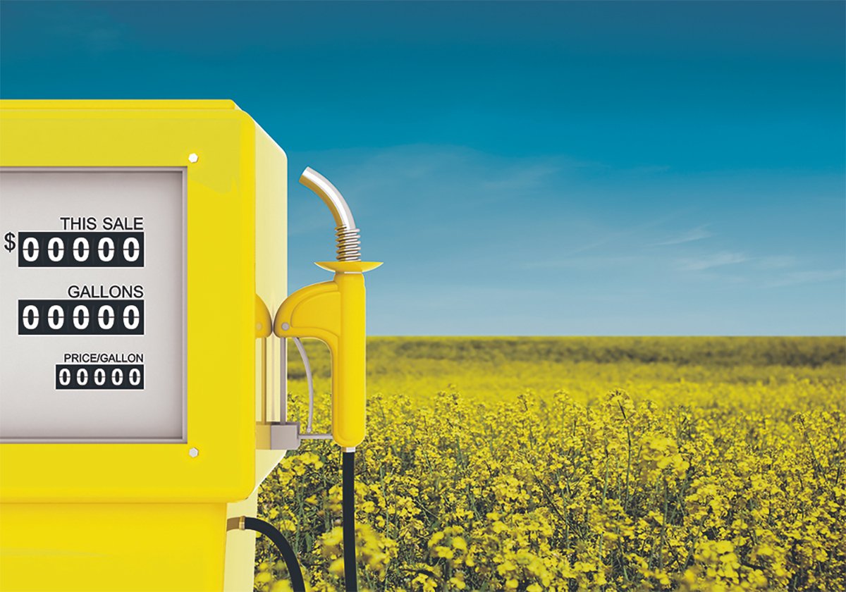 A photo-illustration of a yellow gas pump with a blooming canola field in the background.