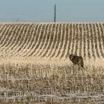 October proved warmer than average