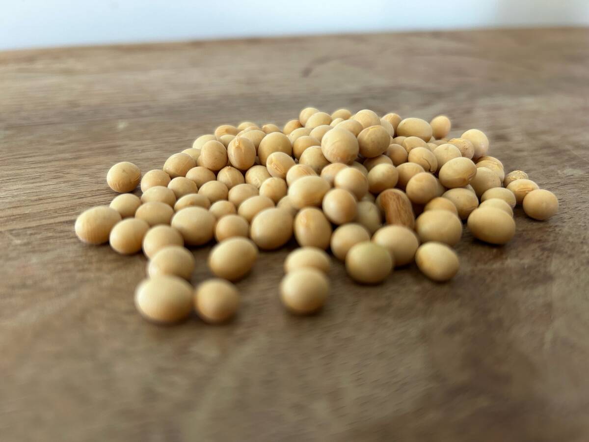 Indian farmers could plant record soybean area
