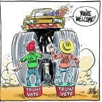 When the electorate votes against its best interests