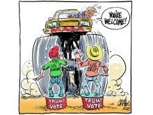 When the electorate votes against its best interests