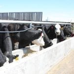 Farmland must be prioritized for growing food