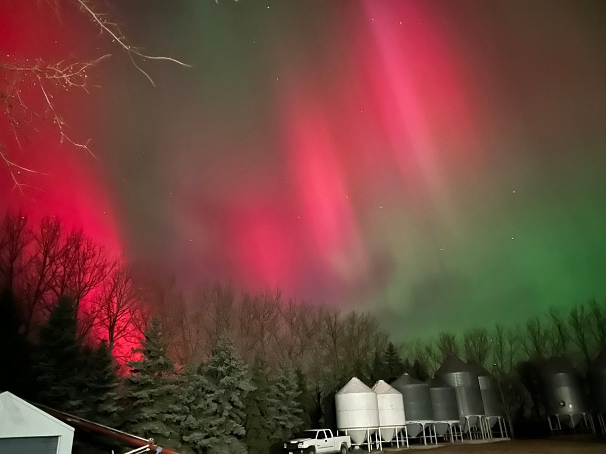 Brilliant aurora paint the sky in shades of red and green above some grain bins on hopper bottoms north of Rosetown, Saskatchewan November 11, 2025.