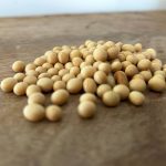 U.S. export sales include only small soybean business to China