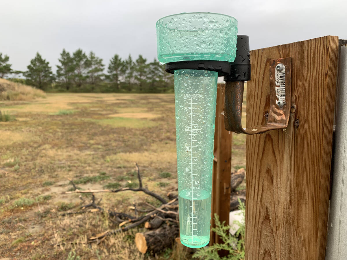 About 9mm of rain fell during the early morning hours of August 10, 2023, southeast of Delisle, Sask.