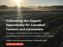 A sun sets behind a crop on the cover of a new organic report entitled, "Cultivating the organic opportunity for Canadian farmers and consumers."