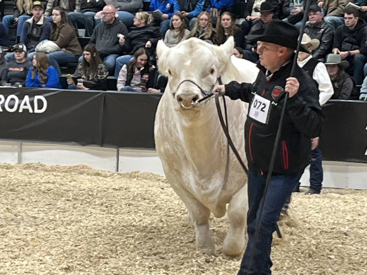 Canadian Western Agribition serves up another winning show