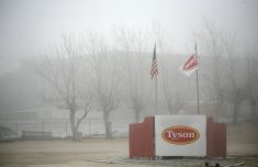 Fog shrouds the Tyson slaughterhouse in Burbank, Washington December 26, 2013. Picture taken December 26, 2013.   REUTERS/Ross Courtney  (UNITED STATES - Tags: AGRICULTURE BUSINESS ANIMALS FOOD)