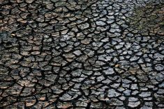 A close up of mud that has dried and cracked.