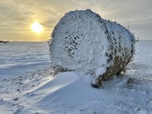 A straw bale stands in the middle of a field, surrounded by drifts and blowing snow in December 2024. The sun is setting in the background.