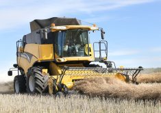 A yellow combine picks up a swath of dried canola.