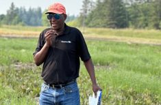 A man wearing a ball cap, sunglasses and a Manitoba Agriculture shirt talks into a microphone at a field day.